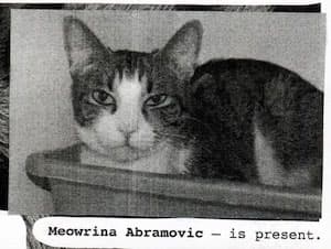 Meowrina Abramovic is present